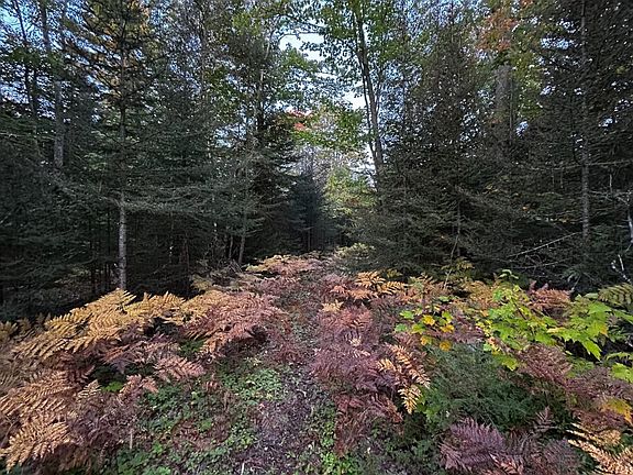 2nd image of 0 Patty Rd