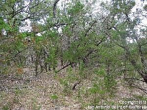 2nd image of 27212 Bent Trl