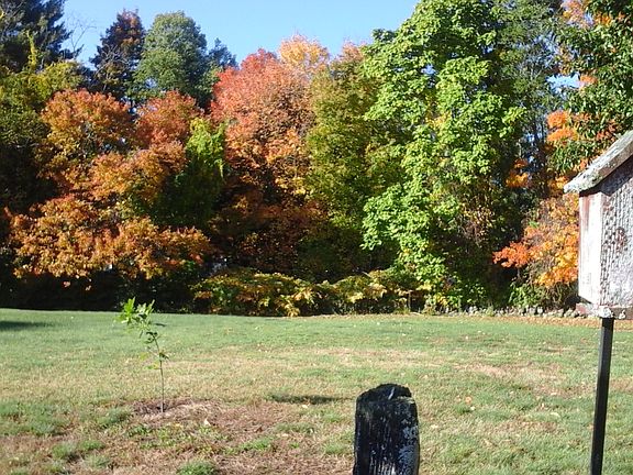 privacy trees between neighb