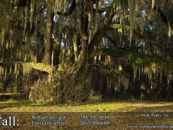 5th image of 15161 County Road 132