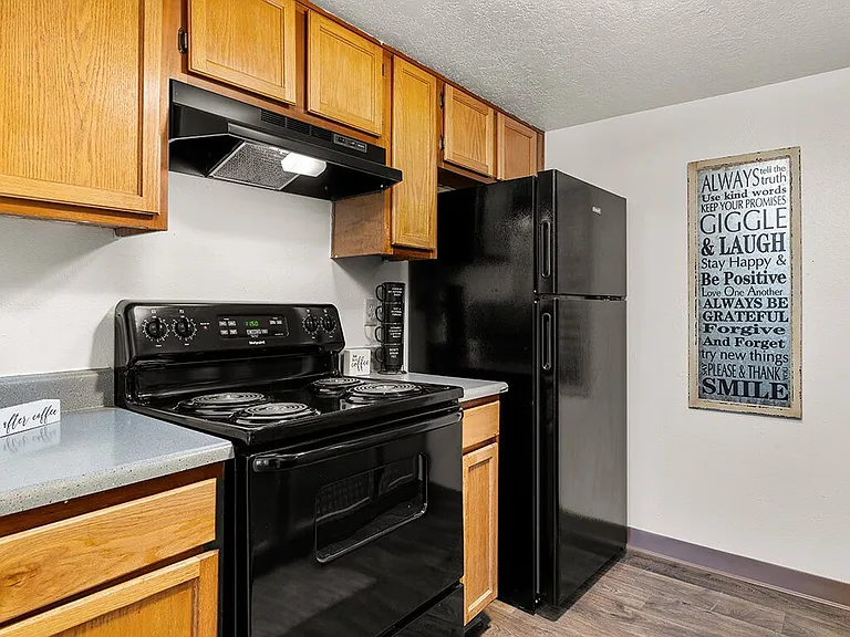 Sleek Black Kitchen Appliances