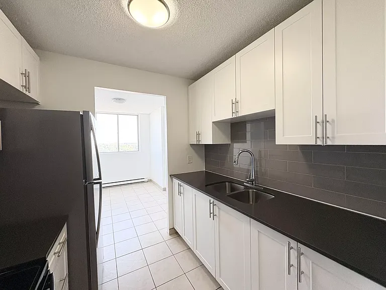 294 Chandler Dr #1503 — Photo 8