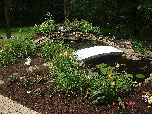 garden and coy pond