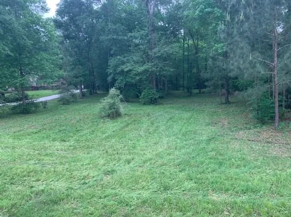 14606 Chevelle Ln, Willis, TX 77378