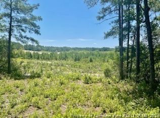 1298 Laurel Ct, Vass, NC 28394