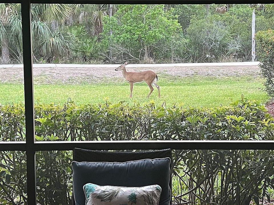 PRESERVE VIEW PARADISE