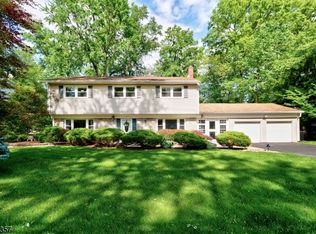 17 Druid Hill Dr, Parsippany, NJ 07054