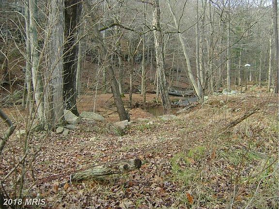 Stream  area