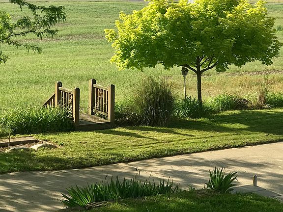 View from front door 
