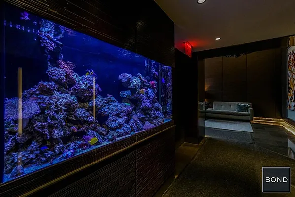 Rented by Bond New York | media 26