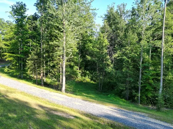 316 Deer Ridge Rd, Mount Lookout, WV 26678