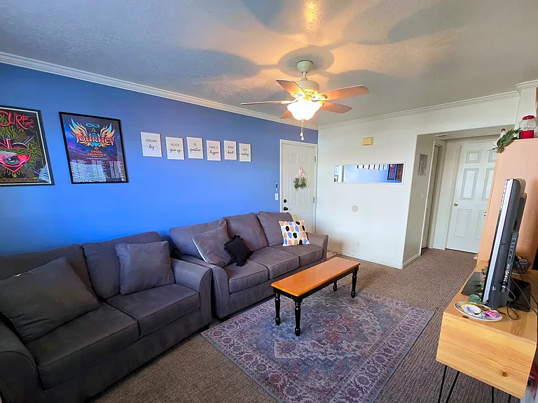 515 N 790 E #113 — Photo 5