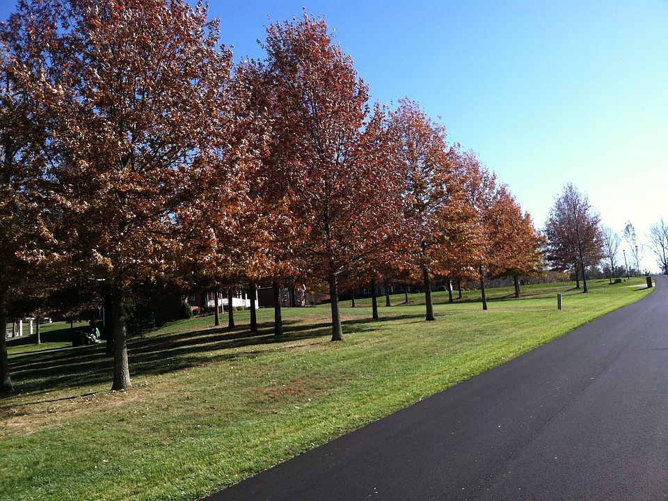 380 Patriot Ridge Dr, Wheelersburg, OH 45694 Zillow