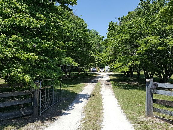 dogwood lined drive