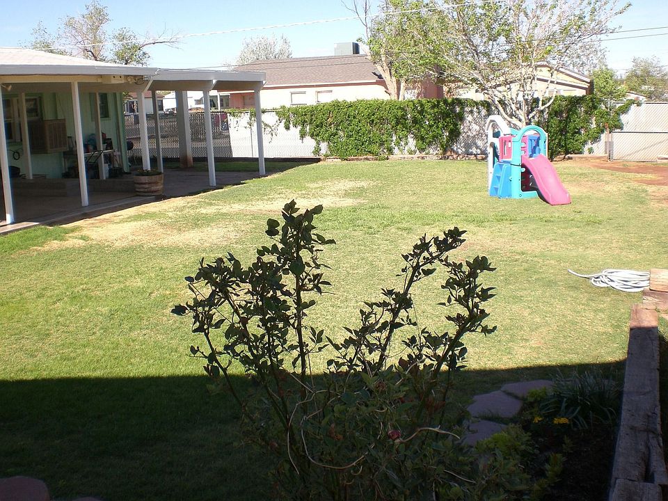 View 1 backyard