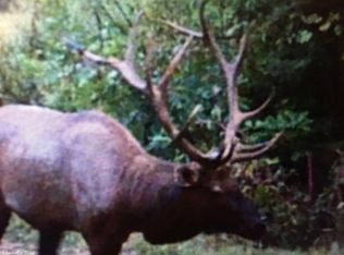 1425 Calf Creek Rd, Marshall, AR 72650