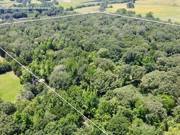 County Road 44400 #5, Powderly, TX 75473