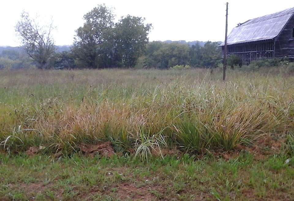 2nd image of 3278 Highway 39w