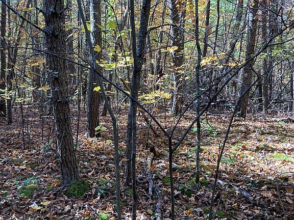 3rd image of Township Road 1 Liberty Ln