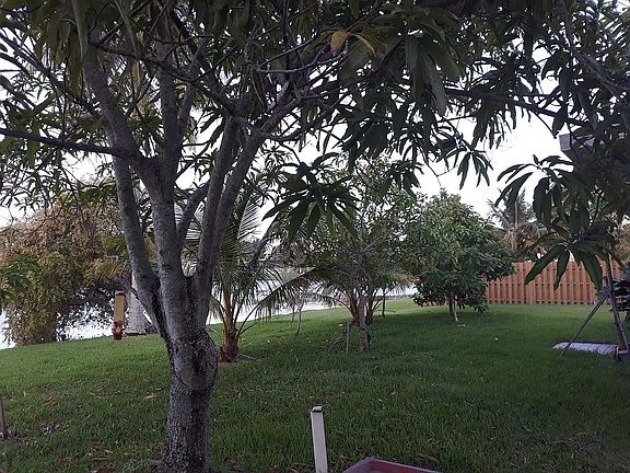 5th image of 12134 NW 35th St