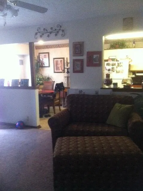 1007 Swan Lake Ct — Photo 1