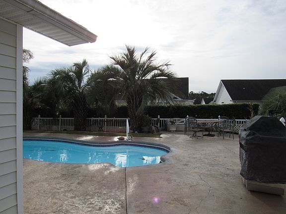 Privacy hedges in the back