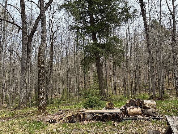 2nd image of 34 Weber Rd