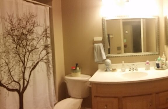Hall Bathroom
