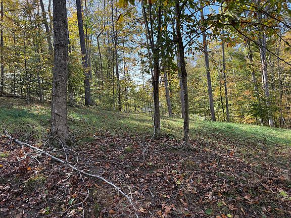 4th image of 410 Falls Creek Way