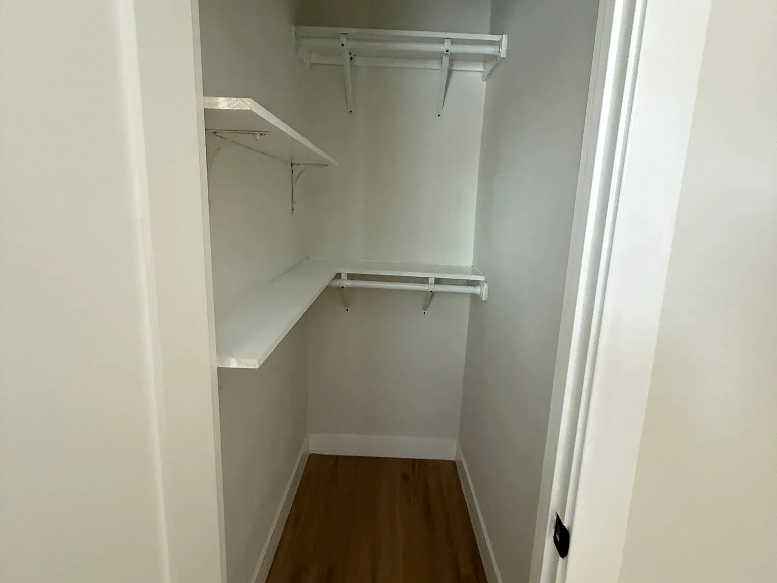 3 bed, 1000 sqft, $3,250 — Photo 3
