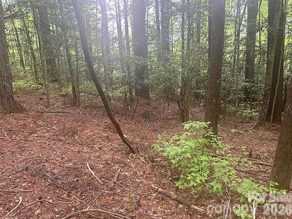 4th image of Upper Whitewater Rd