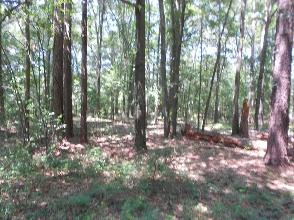 512 Patricia Dr, Montezuma, GA 31063