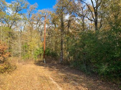 0 Hoot Owl Ln, Livingston, TX, 77351