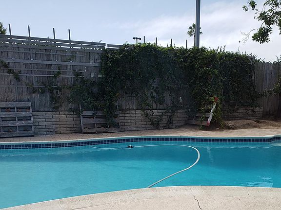 Large 9 ft deep pool. Passion fruit vine covering the fence - Delicious!