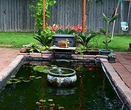 Serene Koi pond in backyard