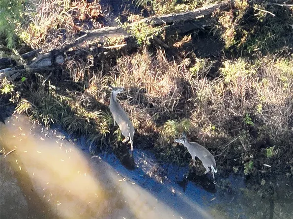 Ew 1260 Rd, Seminole, OK 74868