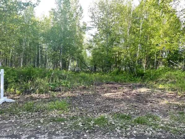 24017 W Wade Dr, Willow, AK 99688