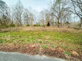 1102 Mountain View Ln LOT 1102, White Pine, TN 37890