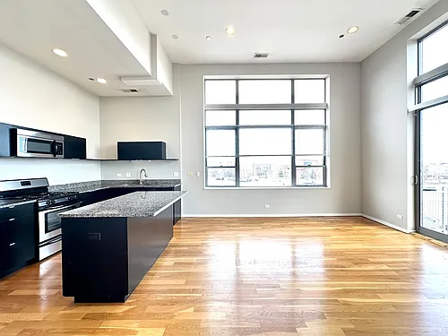 2157 N Damen Ave #305 Photo 1