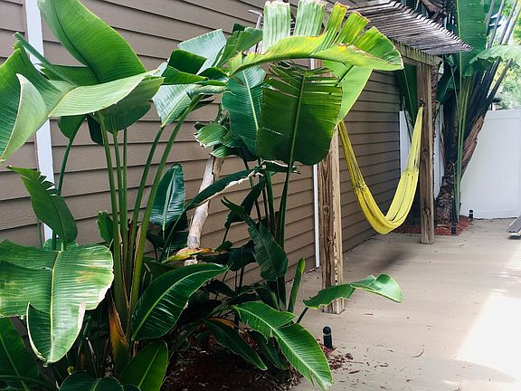 Relaxing area with hammock