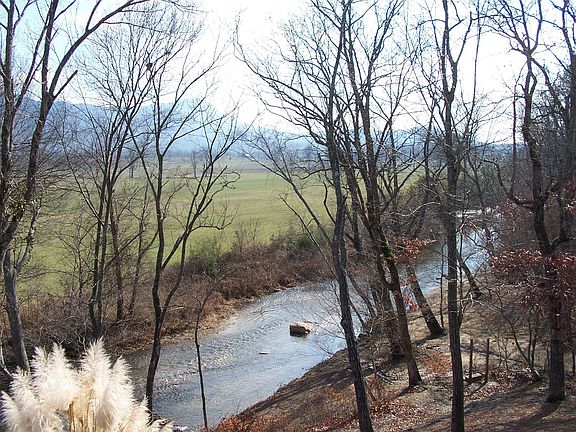 View of Creek