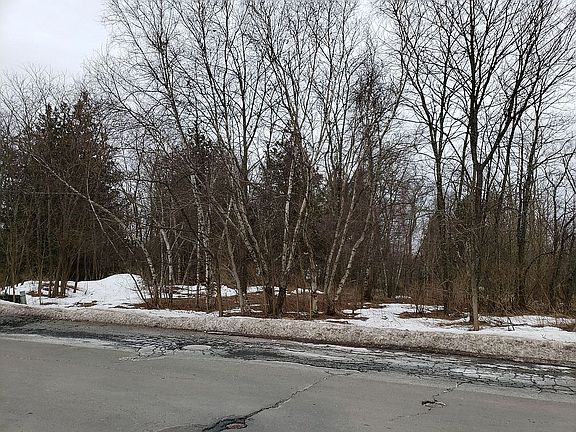 5th image of 32 Dollard Dr