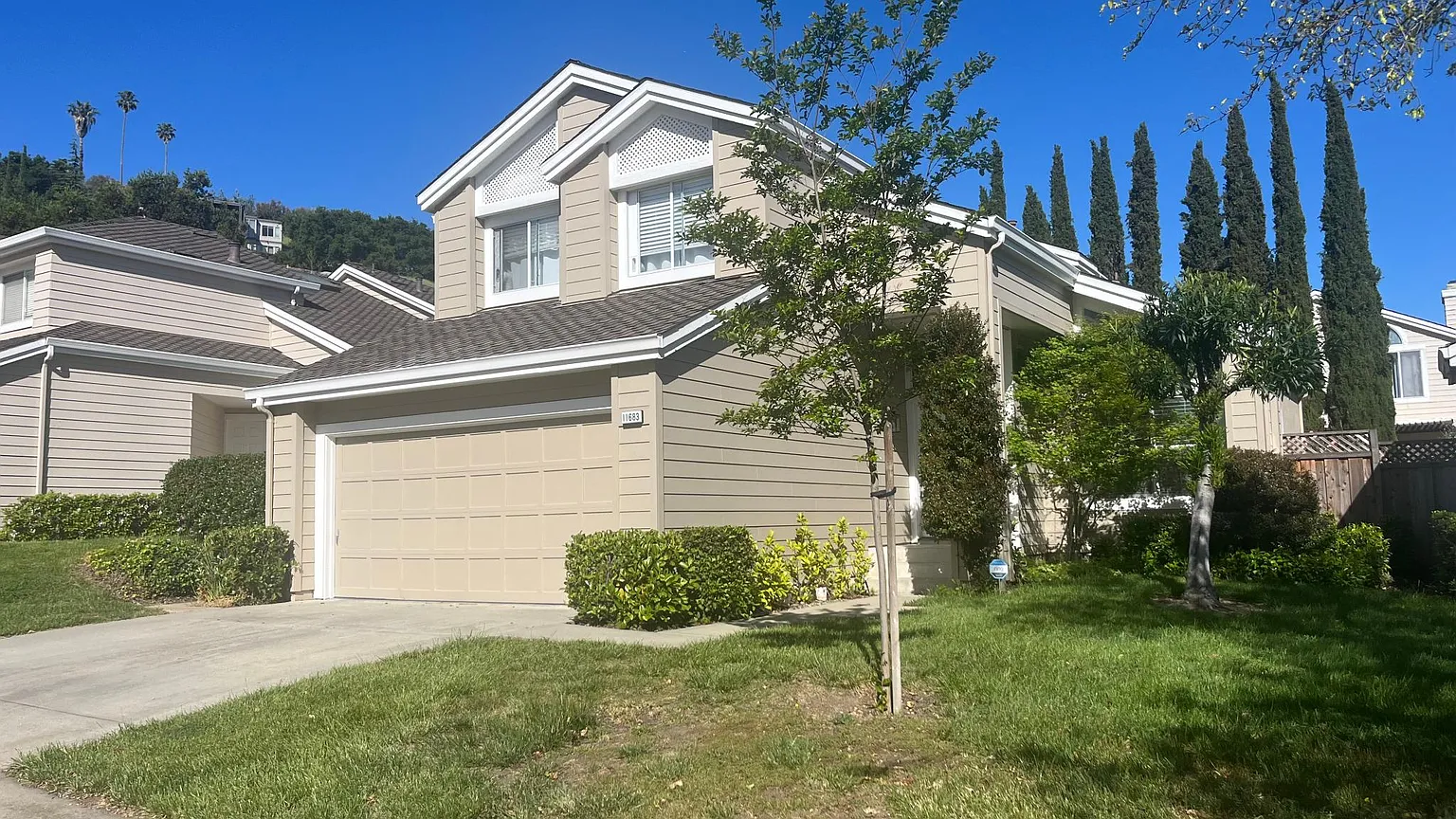 11683 Vineyard Spring Ct photo 1