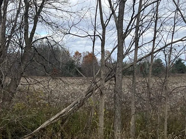 Davis Lake Rd, Lapeer, MI 48446