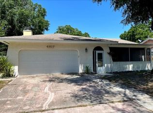 4817 Cypress Tree Dr, Tampa, FL 33624