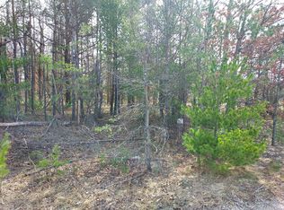 21 N Main St, Evart, MI 49631