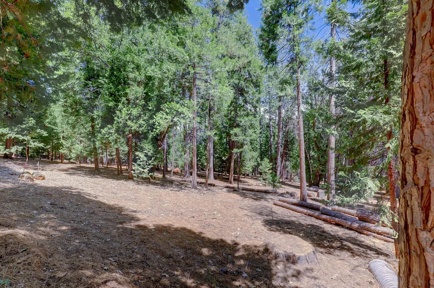 14115 Tahoe View Dr photo 1