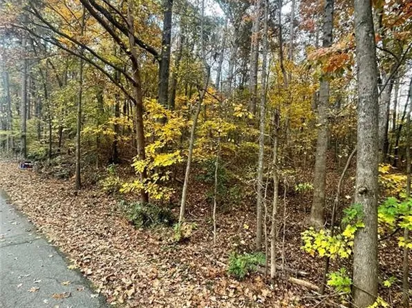 0 Lake Club Dr #100, Lavonia, GA 30553