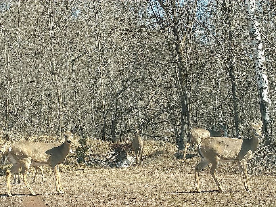 2nd image of Hillcrest Park Addition