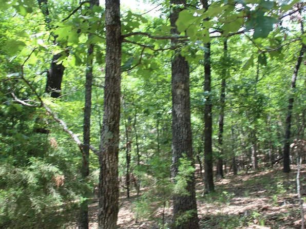 LOT 9B Country Club Dr, Theodosia, MO 65761